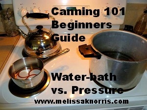 Pressure Cooker For Canning