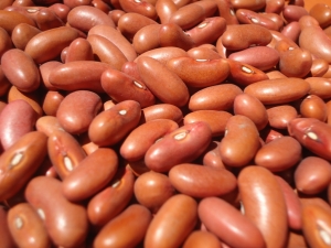 cook-dried-beans